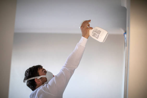 Best Mold Cleaning Services  in Puyallup, WA