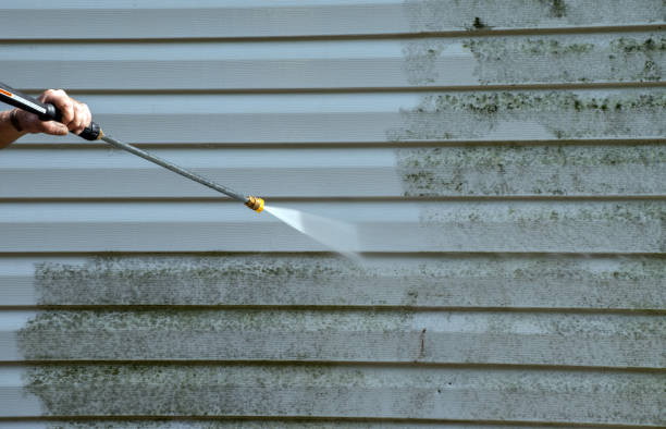 Best Mold Testing  in Puyallup, WA