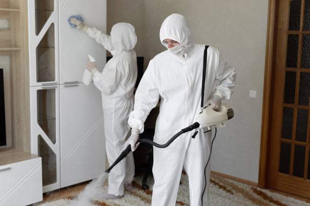 Best Local Mold Removal Service  in Puyallup, WA