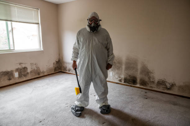 Certified Mold Removal in Puyallup, WA